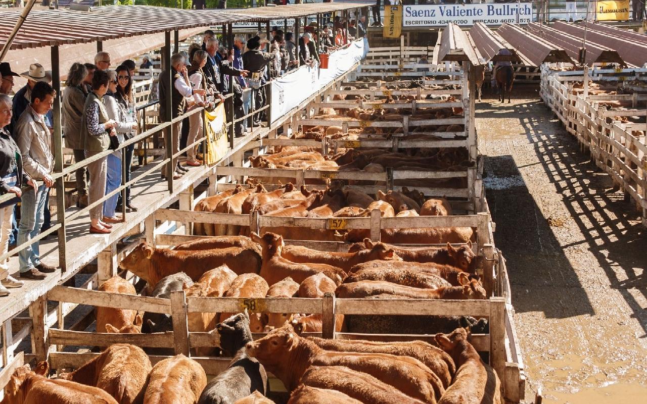 Avanza la iniciativa por la que el Mercado de Hacienda dejará de existir en Mataderos