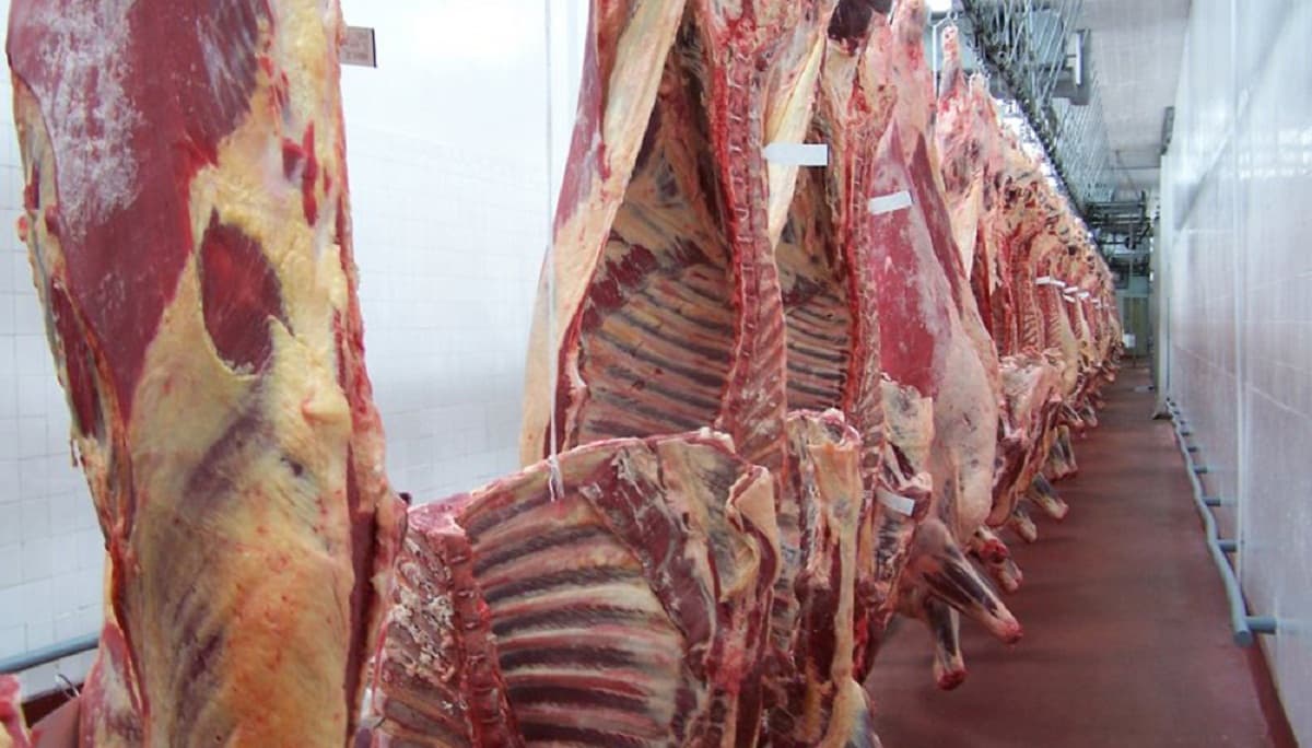 La exportación de carne y un nuevo récord en octubre