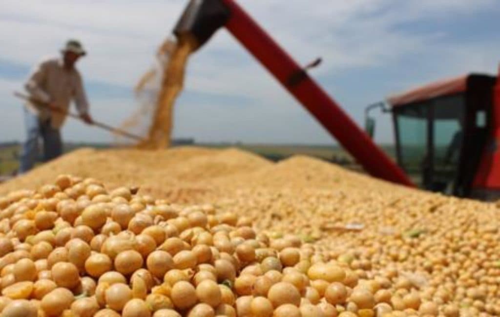 En 2021, la agroindustria liquidó una cifra récord de exportaciones