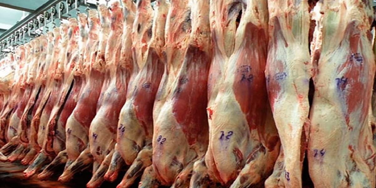 Prevén un panorama desalentador para la exportación de carne vacuna