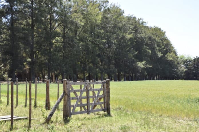 Provincia lanza asistencia económica para arrendatarios afectados por la sequía