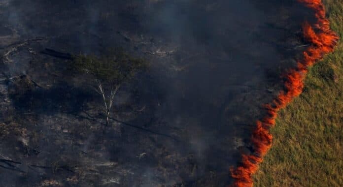 Cambio climático: el 3 de julio fue el día más caluroso a nivel mundial desde que hay registros