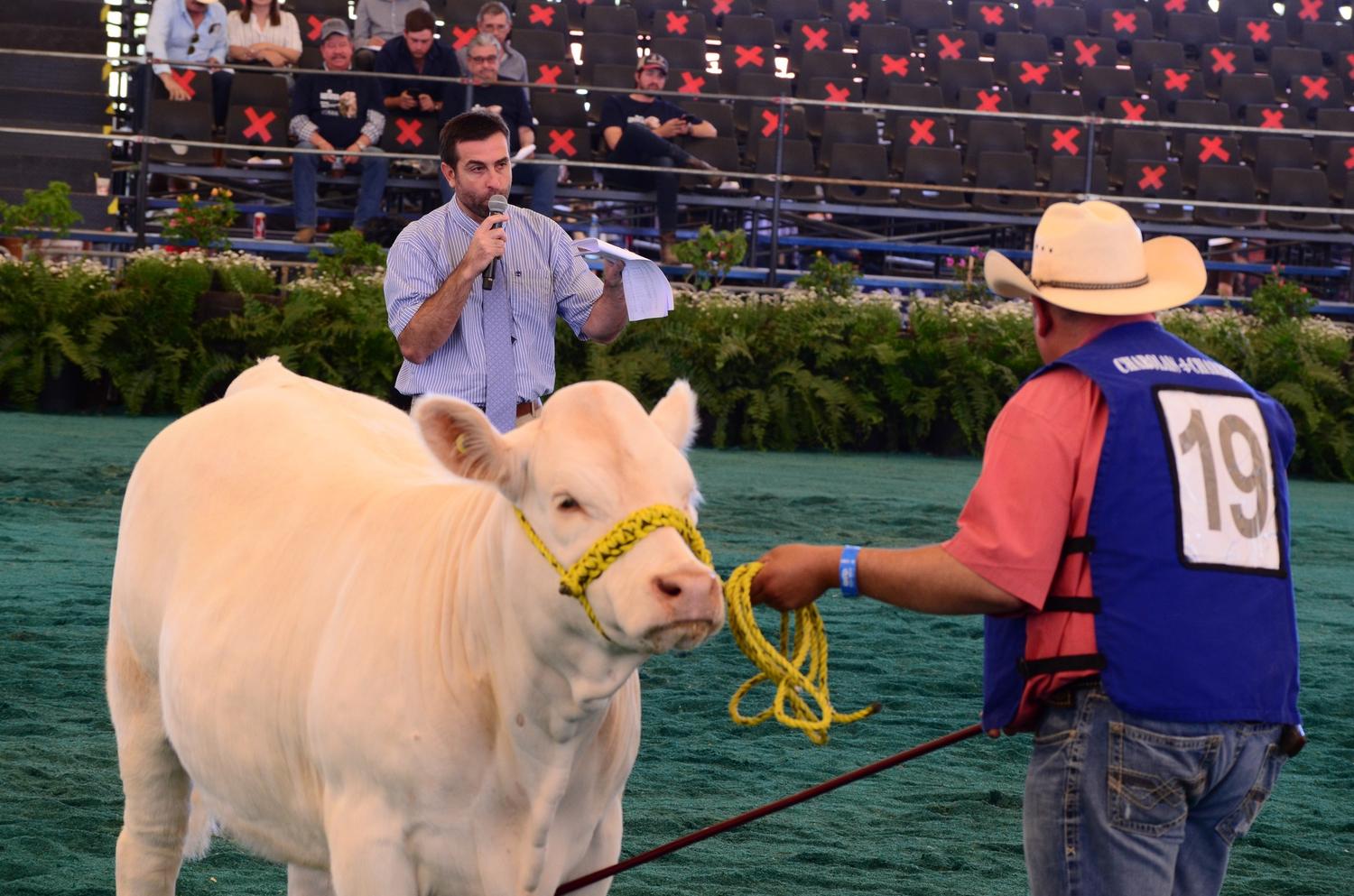 Joven trenquelauquense, orgullo nacional
