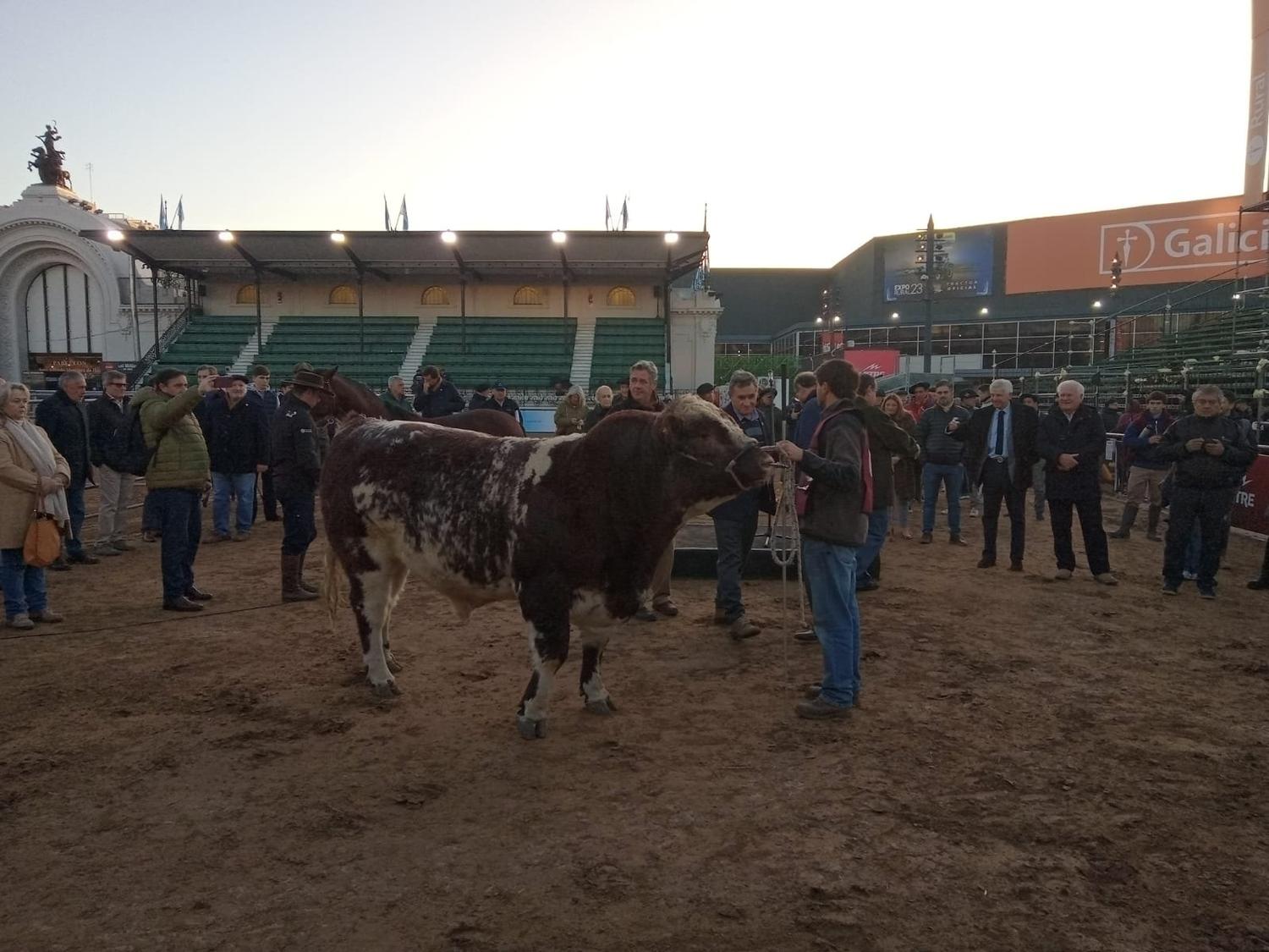 Ya se palpita la Expo Rural: comienzan a llegar los primeros animales