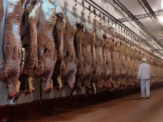 Desde el Gobierno de EE.UU. deslizaron que el país podría dejar de comprar carne a la Argentina