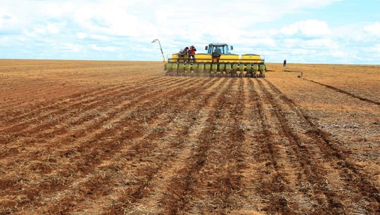 Un joven de 19 años murió al caer al sinfín de una sembradora