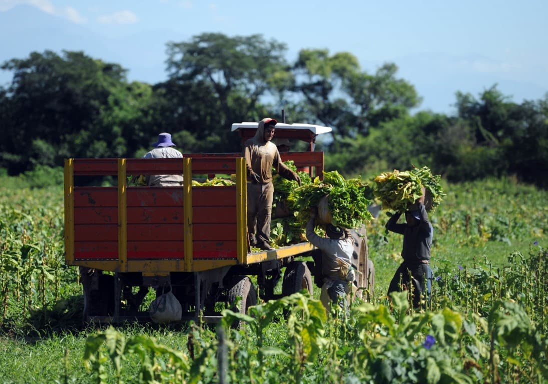 Presentaron un proyecto de ley para compatibilizar planes sociales y empleo registrado