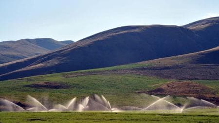 Argentina recibirá préstamos por US$ 260 millones destinados a la agroindustria