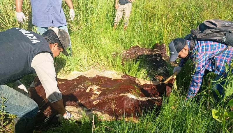 Condenaron a tres personas por abigeato