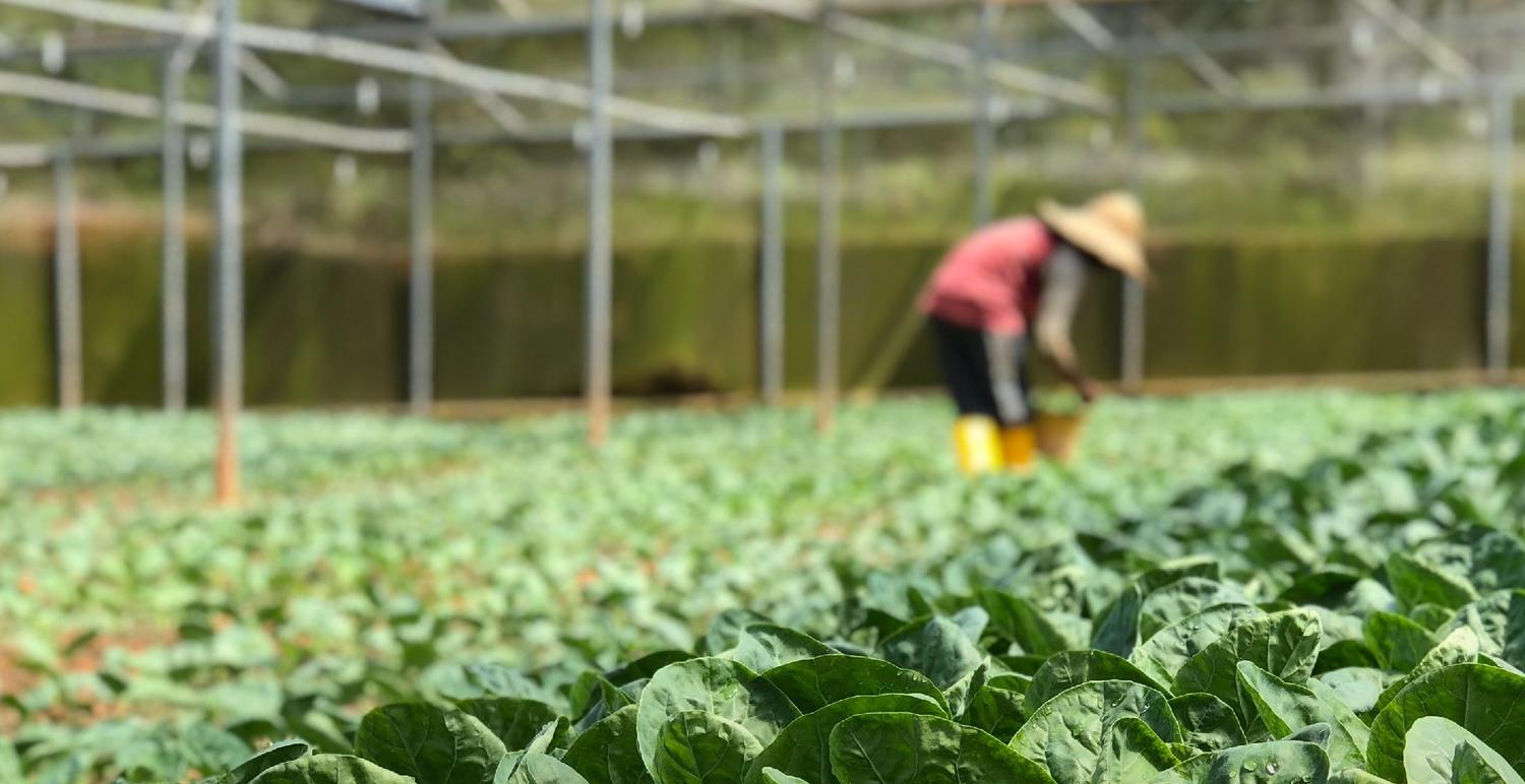 AgroInnovación: una oportunidad de promover un futuro sustentable, de la mano de Fertilizar AC