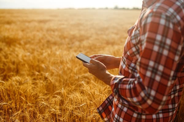 ‘¿Cómo gestionar las órdenes de trabajo en el campo?’: charla virtual para el agro