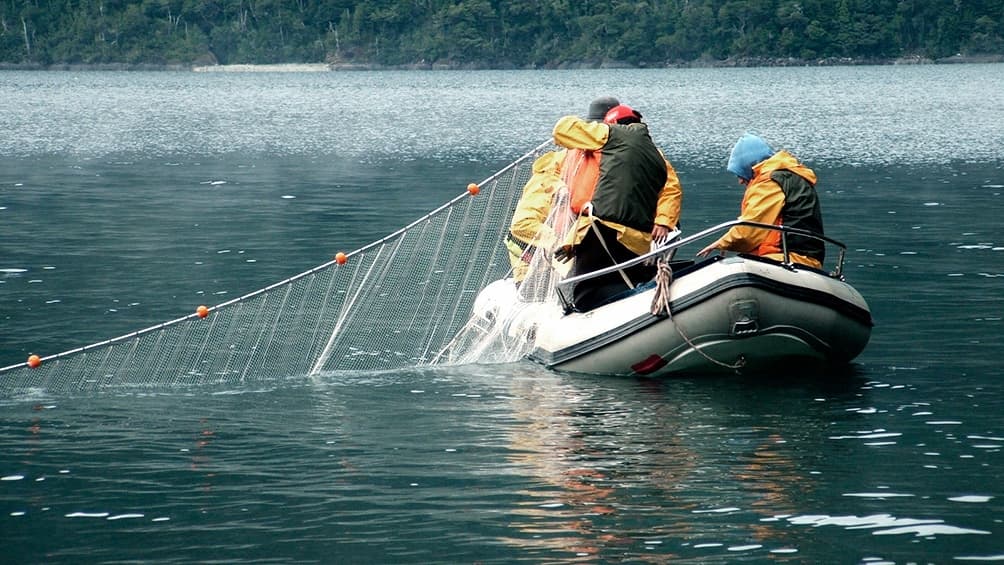 La acuicultura terminará el año con una producción récord de más de 8.000 toneladas