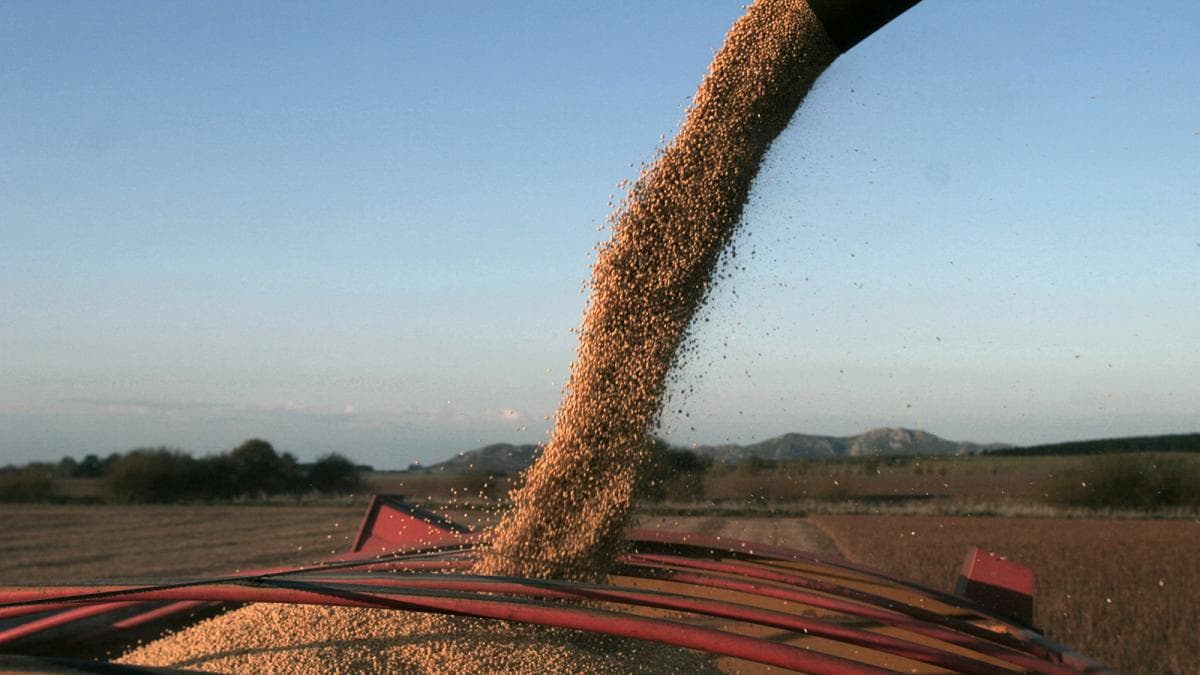 Volvió el dólar soja con un cambio sustancial para los productores: esto anunció el Gobierno