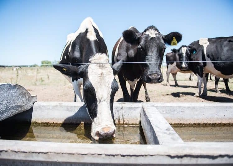 ¿Quién se beneficia creando problemas?