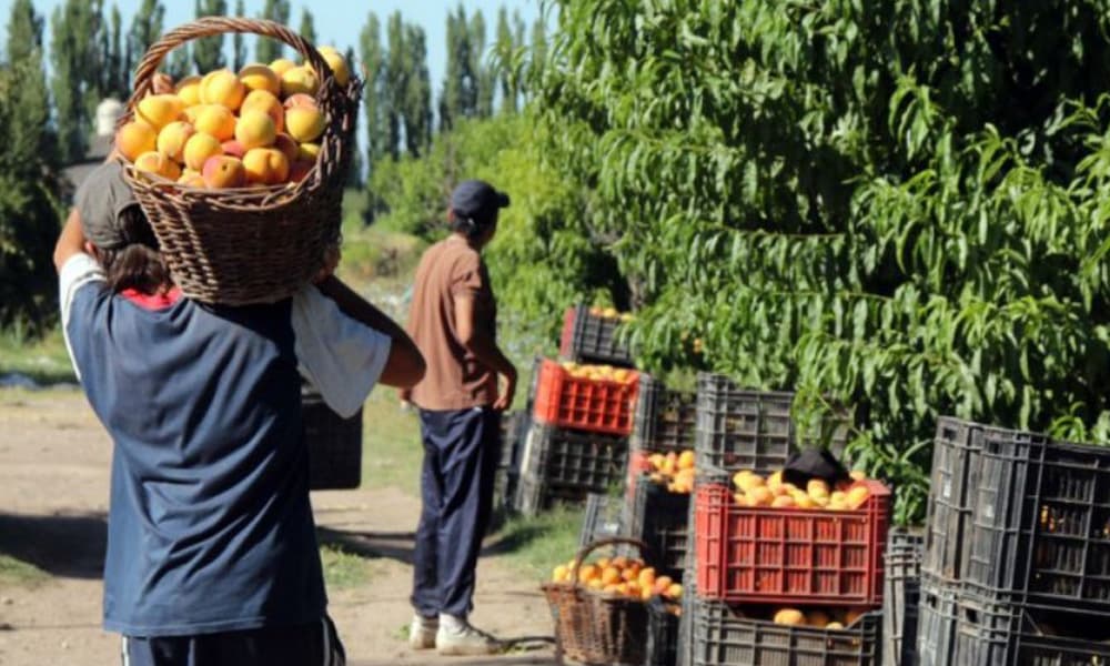 La fuerte medida que tomó la Provincia con productores frutihortícolas bonaerenses