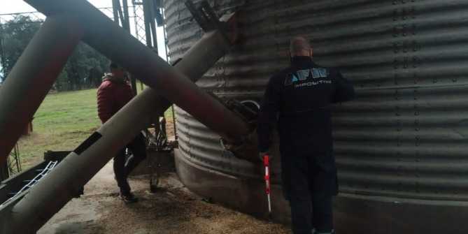 La AFIP incautó 640 toneladas de granos valuadas en $ 50.000.000