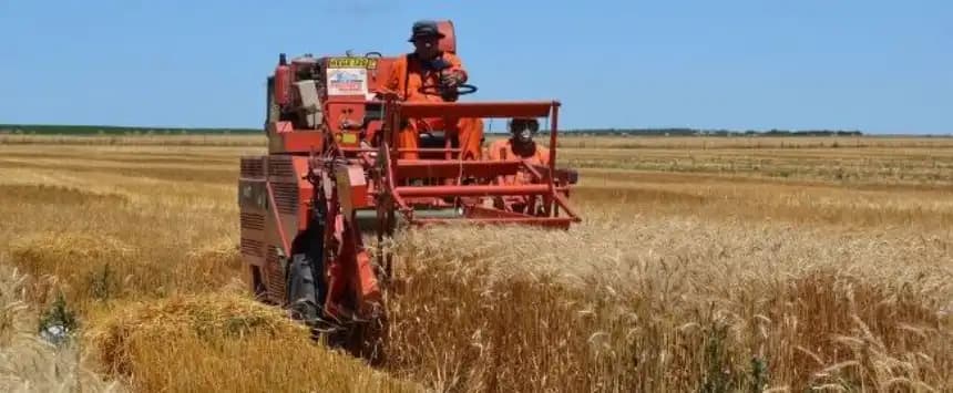 Cómo es el programa del Gobierno que busca achicar brechas en los cultivos