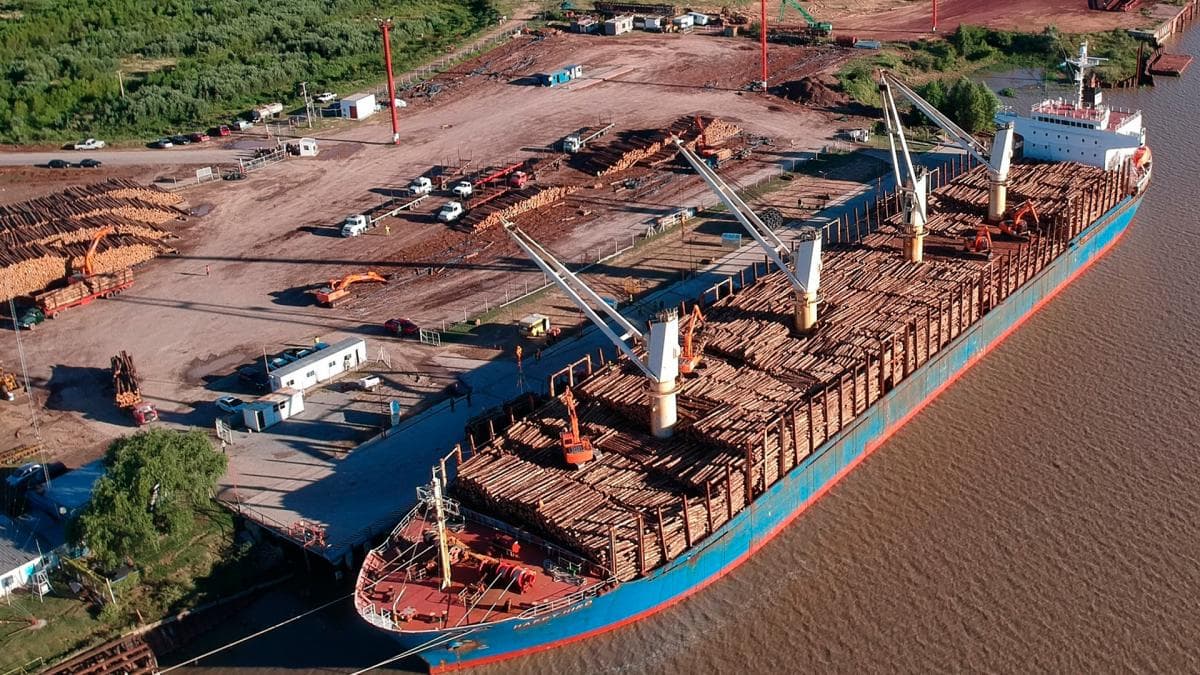 Entre Ríos registró su mayor actividad portuaria de los últimos 25 años