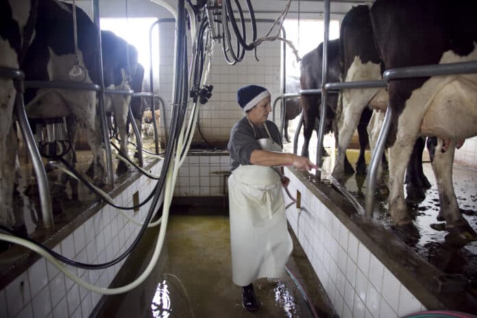 El Gobierno oficializó la suspensión de las retenciones a los lácteos
