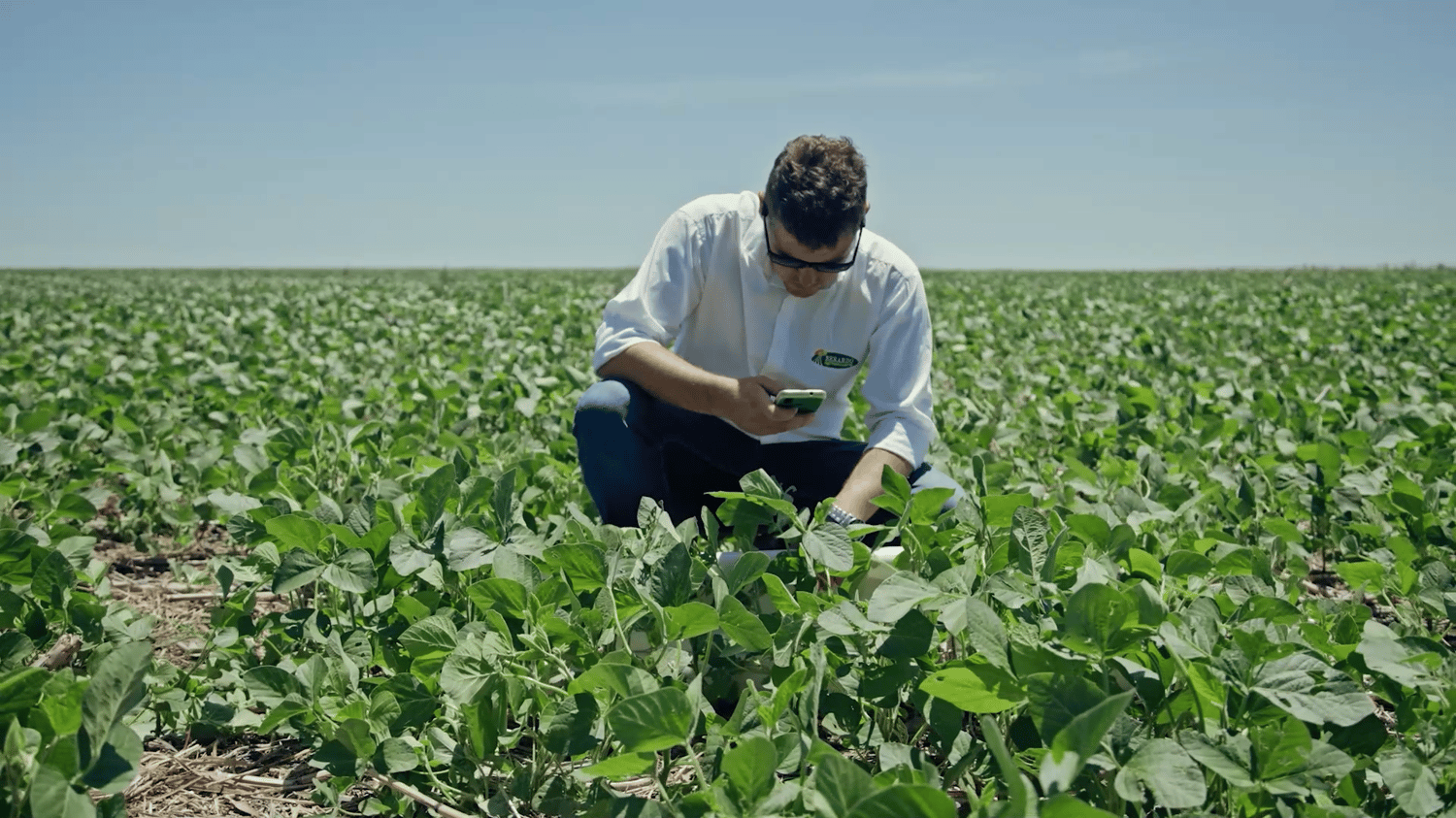 La ciencia de datos y su creciente influencia en el agro