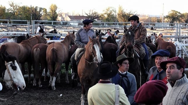 Cerco sanitario en Corrientes y Santa Fe por brotes de Encefalomielitis Equina