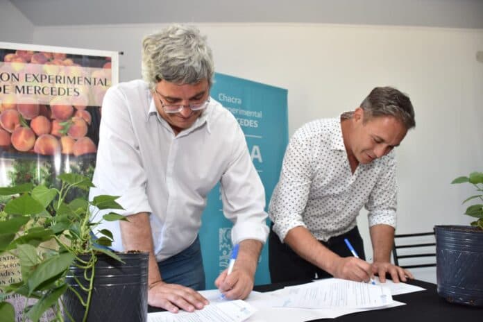 Javier Rodríguez: “La articulación público-privada es fundamental en el desarrollo tecnológico agroalimentario”