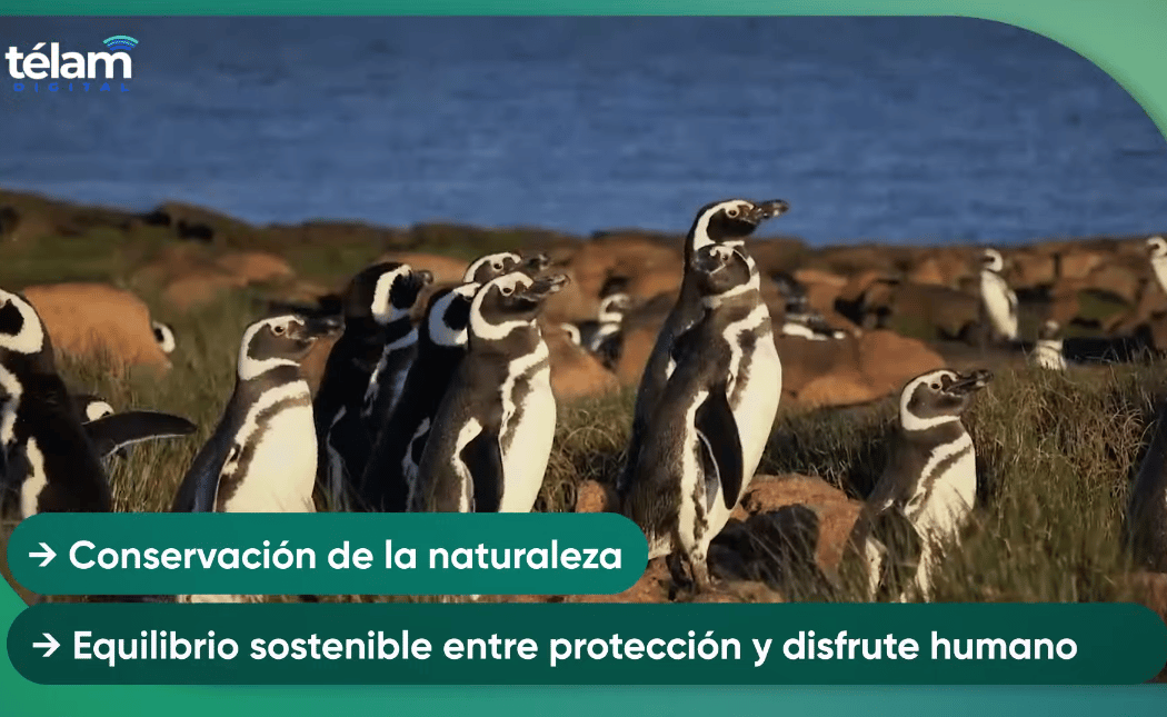 Ecointensa: ¿Por qué son importantes los Parques Nacionales?