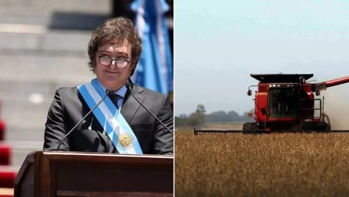 Qué es la Ley de Tierras y qué cambiará con el DNU de Javier Milei
