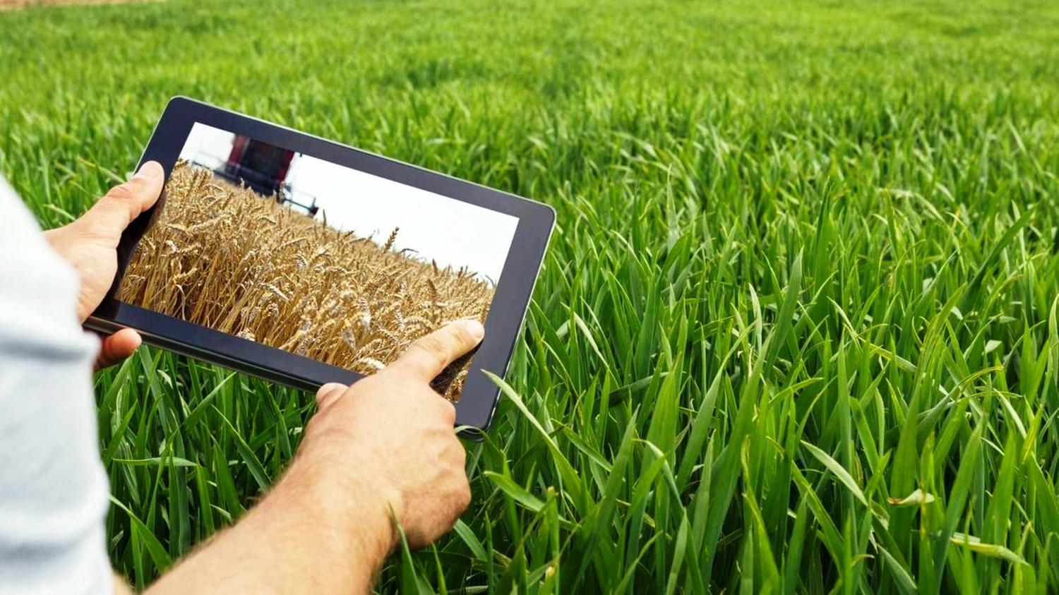 Un nuevo paso en el manejo sustentable de cultivos en Argentina