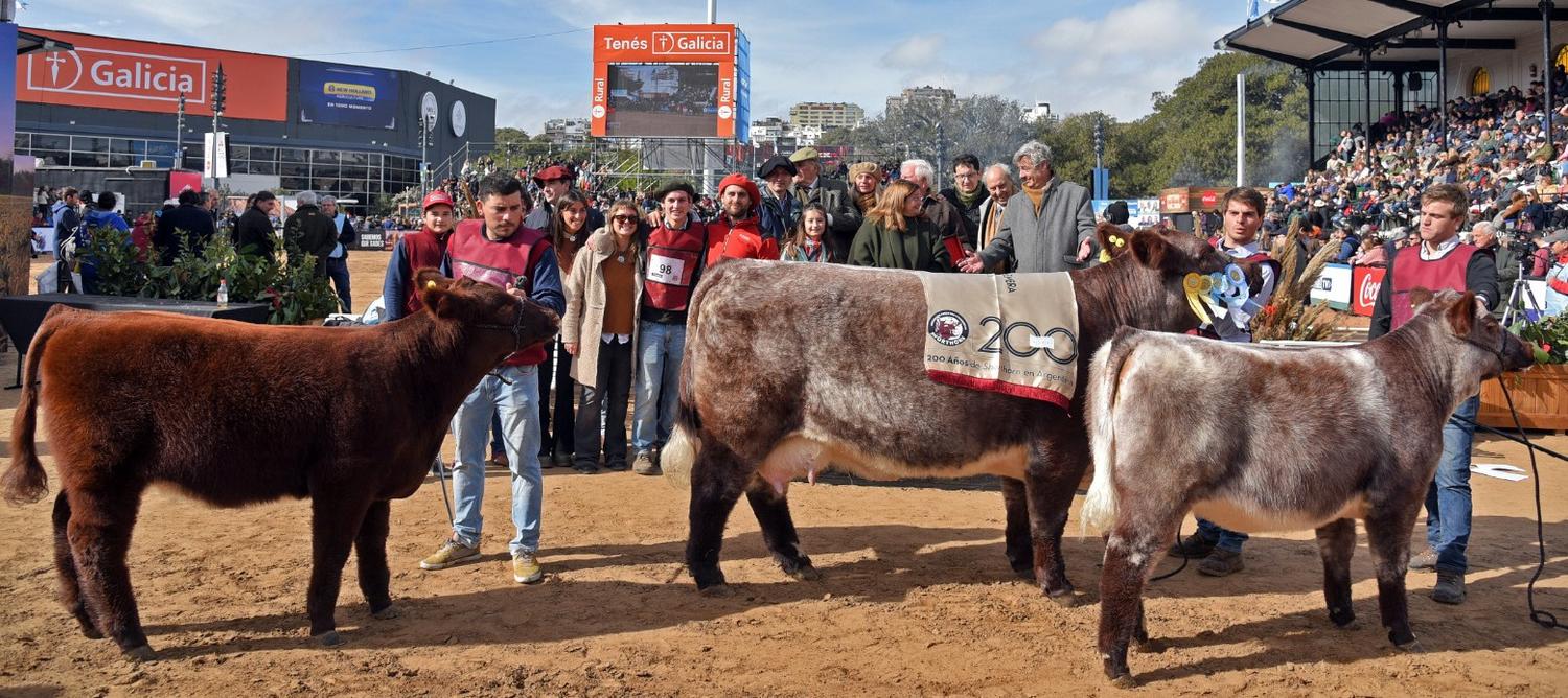 Una vaca argentina subcampeona del mundo de la raza Shorthorn