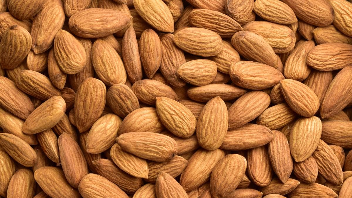 Argentina exportará almendras a Brasil desde el 1° de febrero