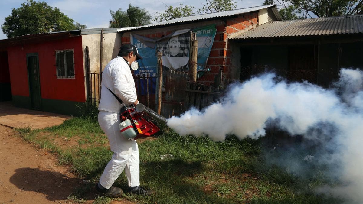 El gobierno de Misiones lanzó créditos para la prevención del dengue