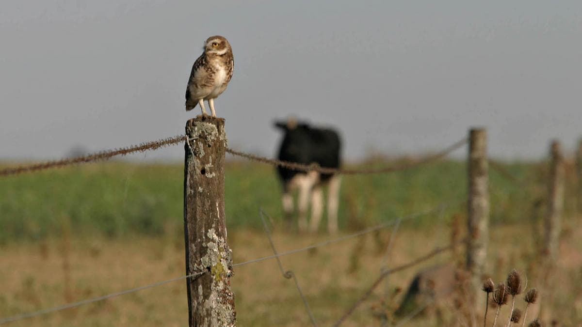 Las lluvias están aseguradas en el verano, pero preocupan las consecuencias de las tormentas