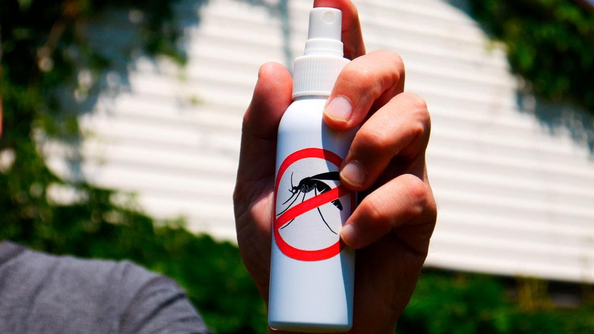 Aerosol, gel o crema: la efectividad de los repelentes es la misma