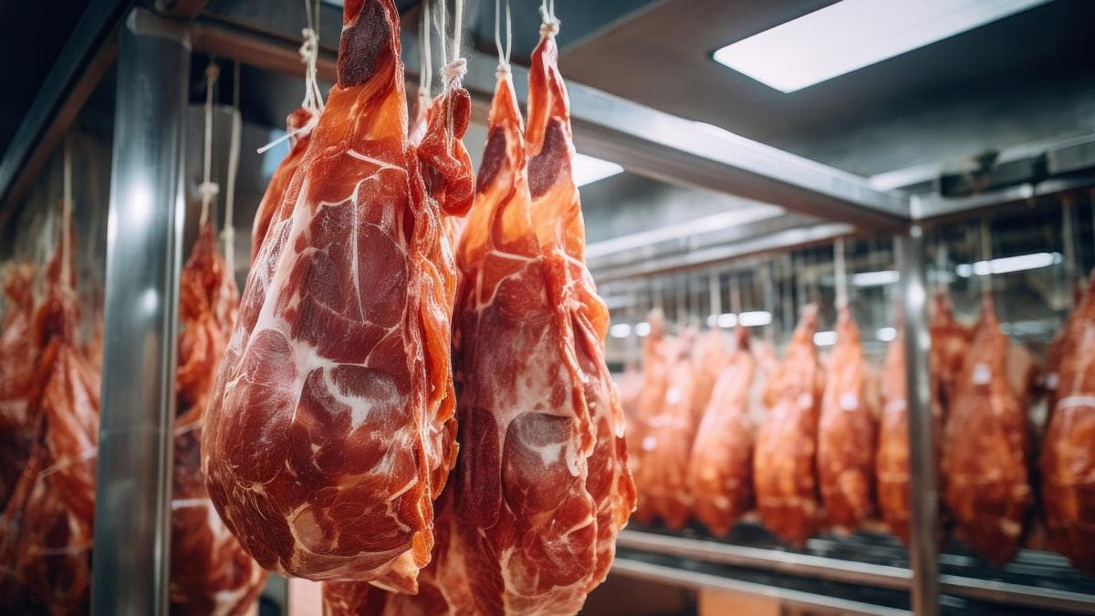 Argentina comenzó el trámite para exportar carne vacuna con hueso kosher a Israel
