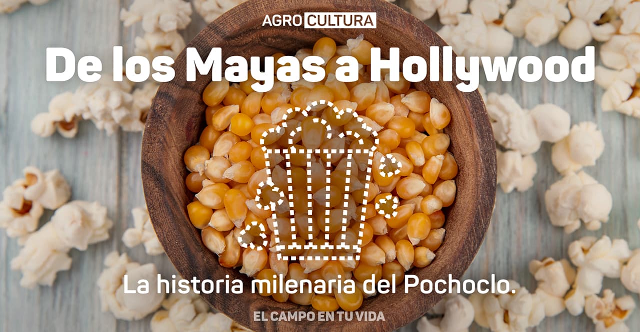 De los Mayas a Hollywood: La historia milenaria del Pochoclo