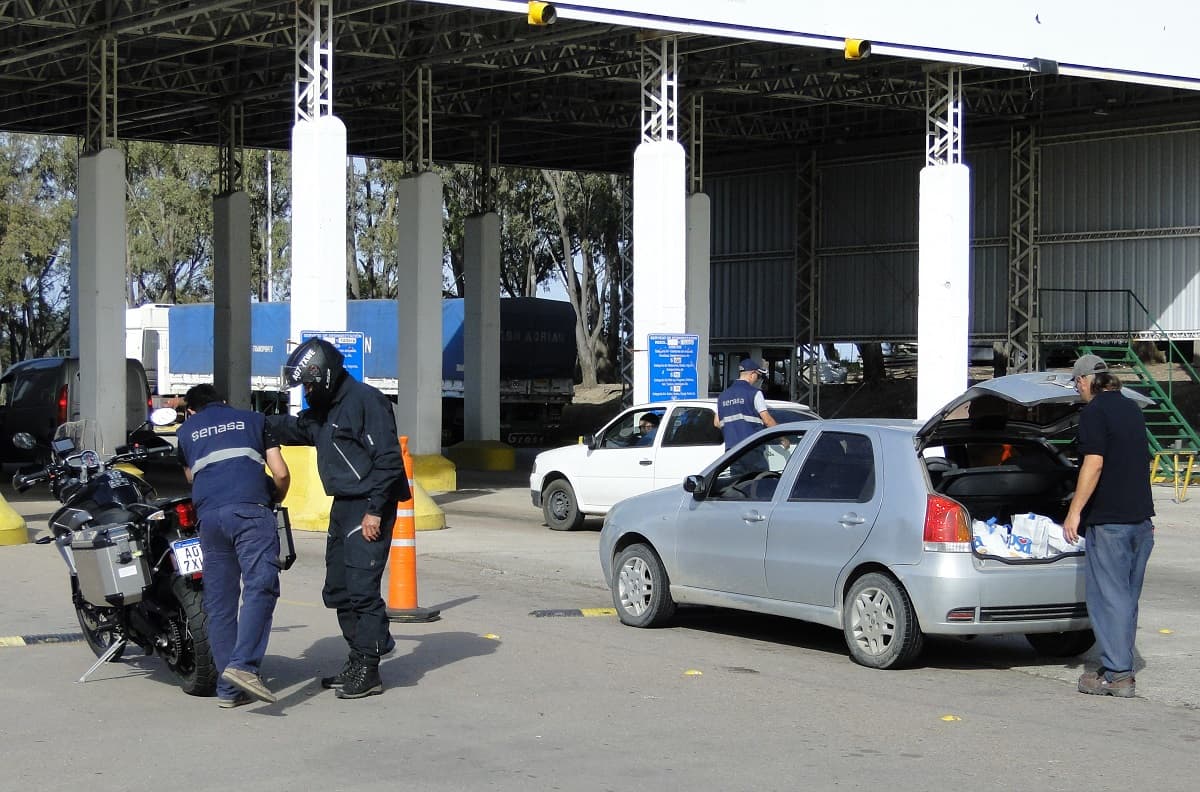 Esto tenés que saber si vas a viajar a la Patagonia con productos de origen animal y vegetal