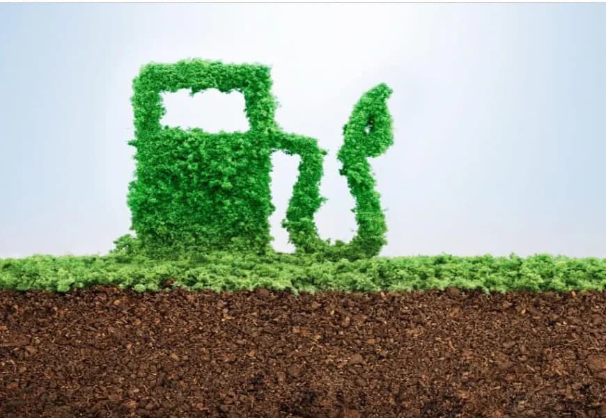 Biocombustibles: la estrategia económica para el agro en 2024