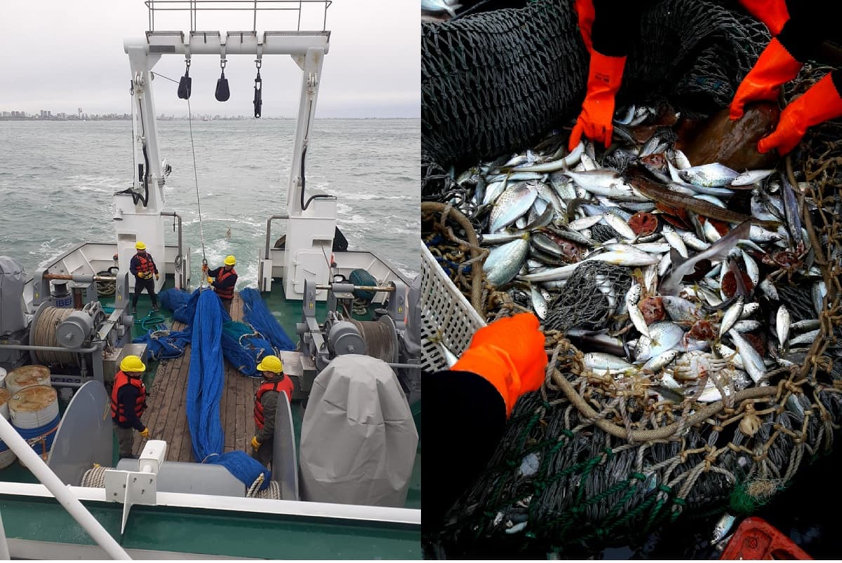 Ley Ómnibus: intendente rechazó las reformas para el sector pesquero