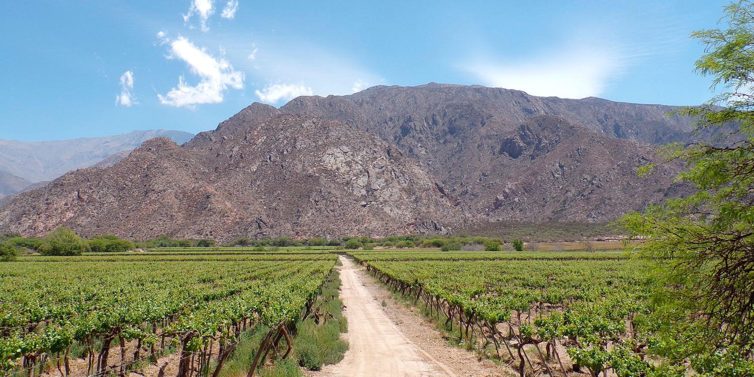 La Justicia suspendió la derogación de la Ley de Tierras del mega DNU