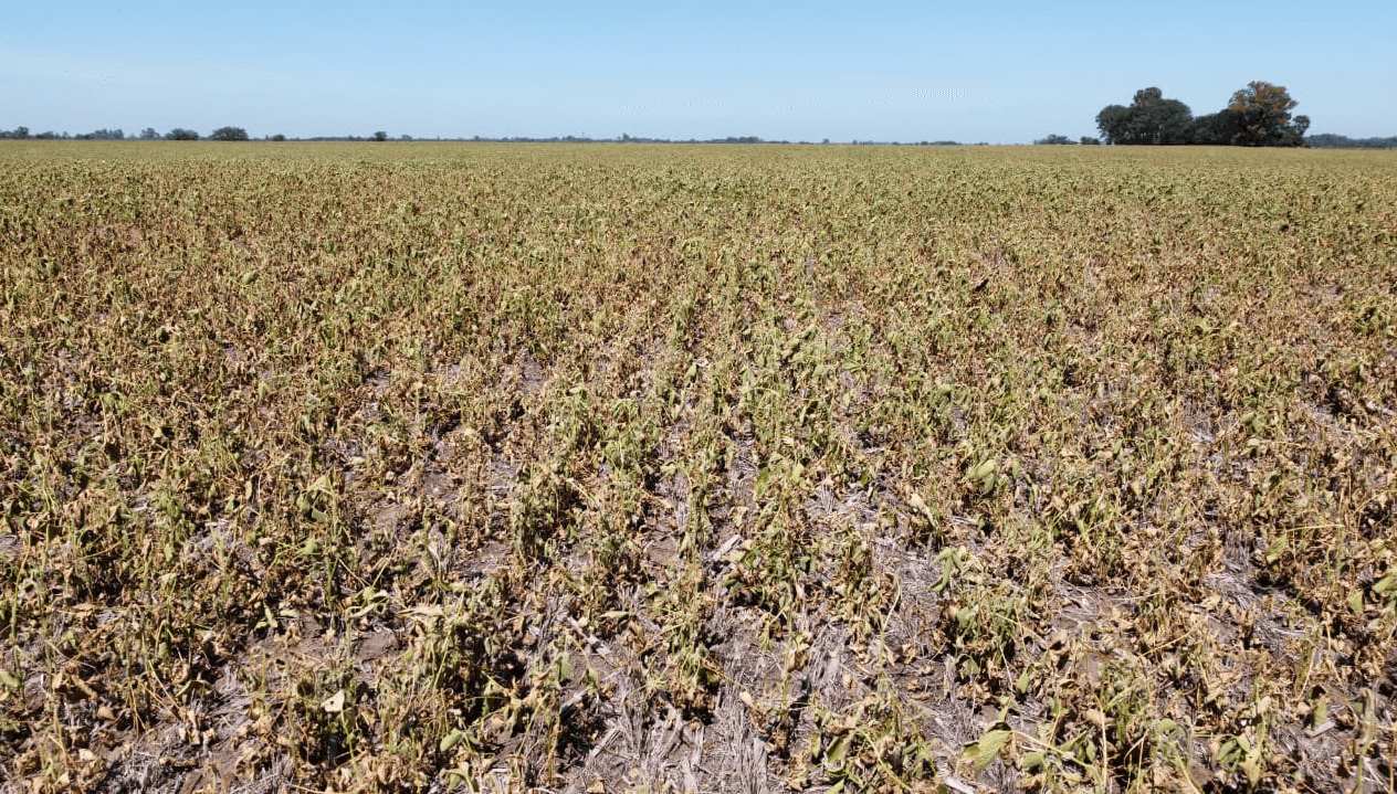 El INTA advirtió sobre un probable regreso de “La Niña” en la segunda mitad del año