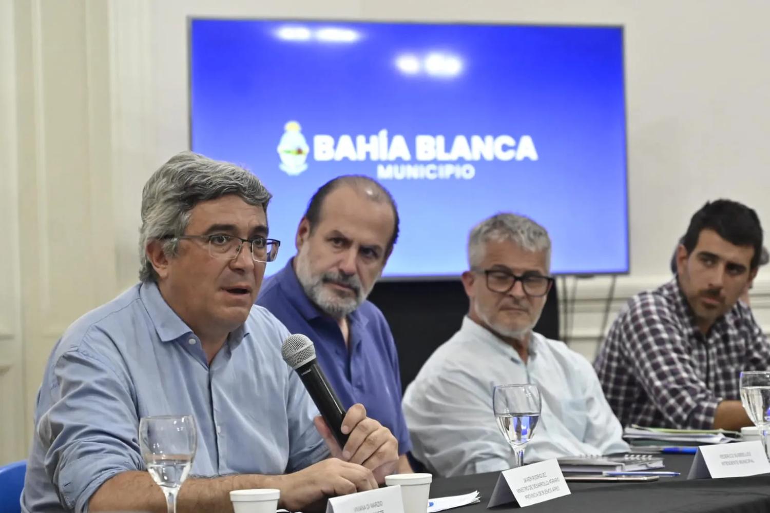 Bahía: pondrán en marcha un plan reforestación con fondos provinciales
