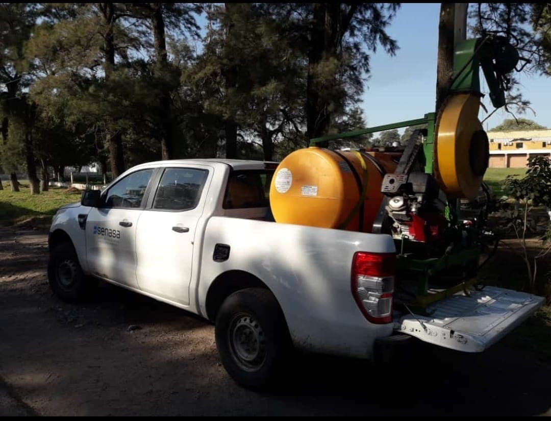 Langostas: intensifican vigilancia tras detectar y controlar foco en Santiago del Estero