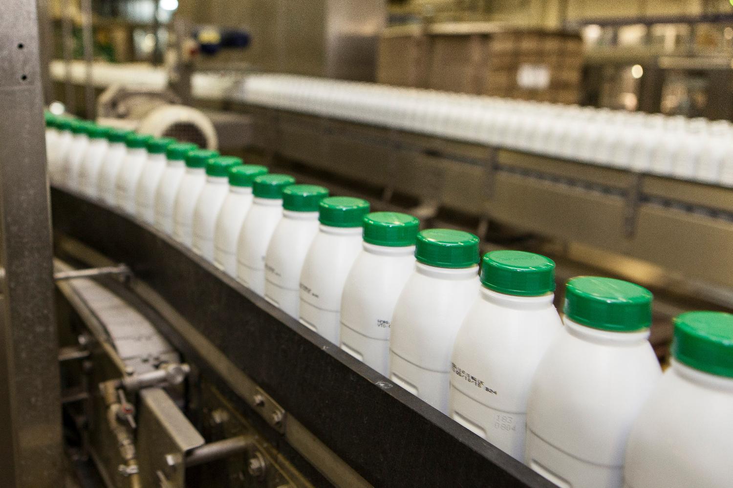 Fuerte caída de la producción de leche en el país