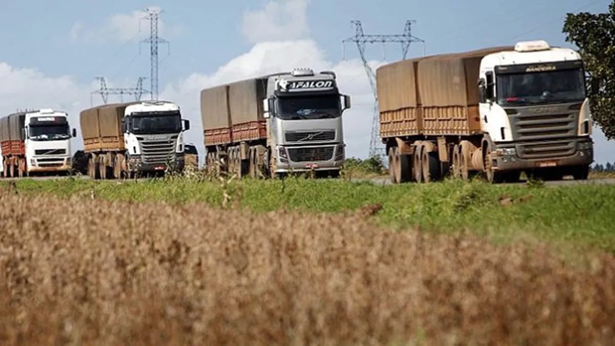 Los costos del transporte de cargas tuvieron “una fuerte desaceleración”