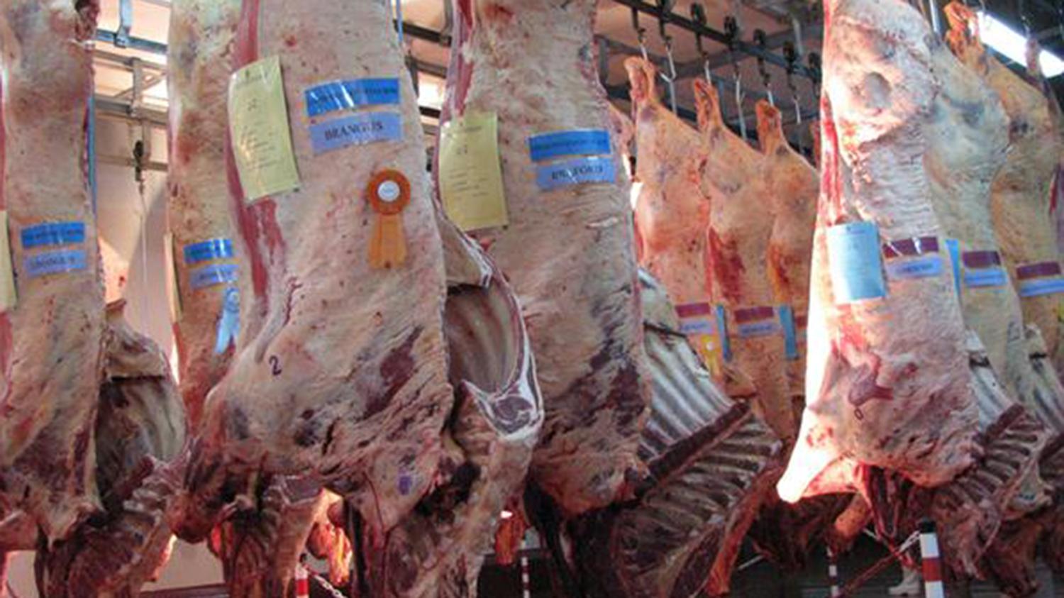 Fuerte caída de las exportaciones de carne en volumen y recaudación