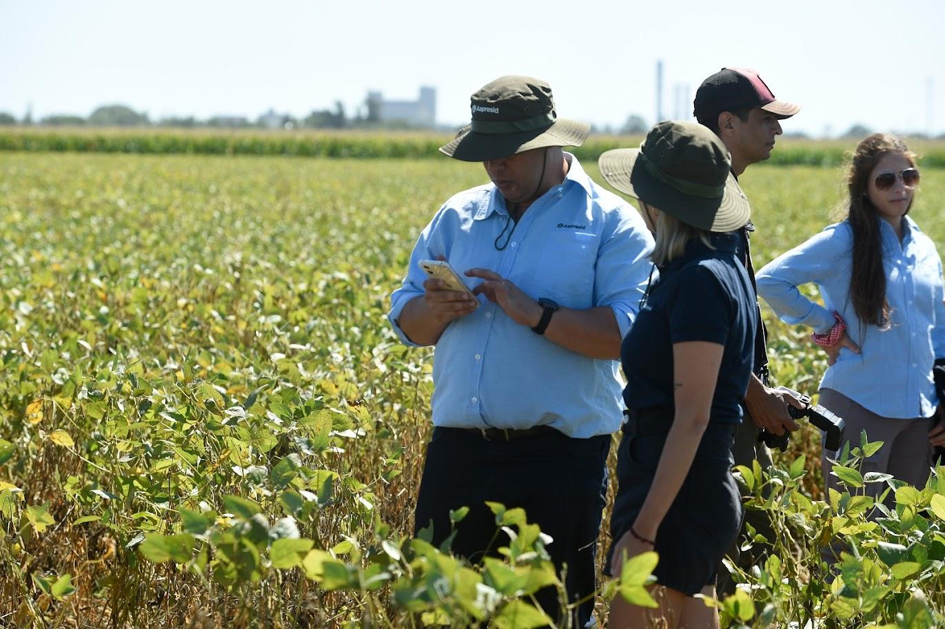 Mala noticia en Expoagro: confirman una alta posibilidad de La Niña desde la primavera