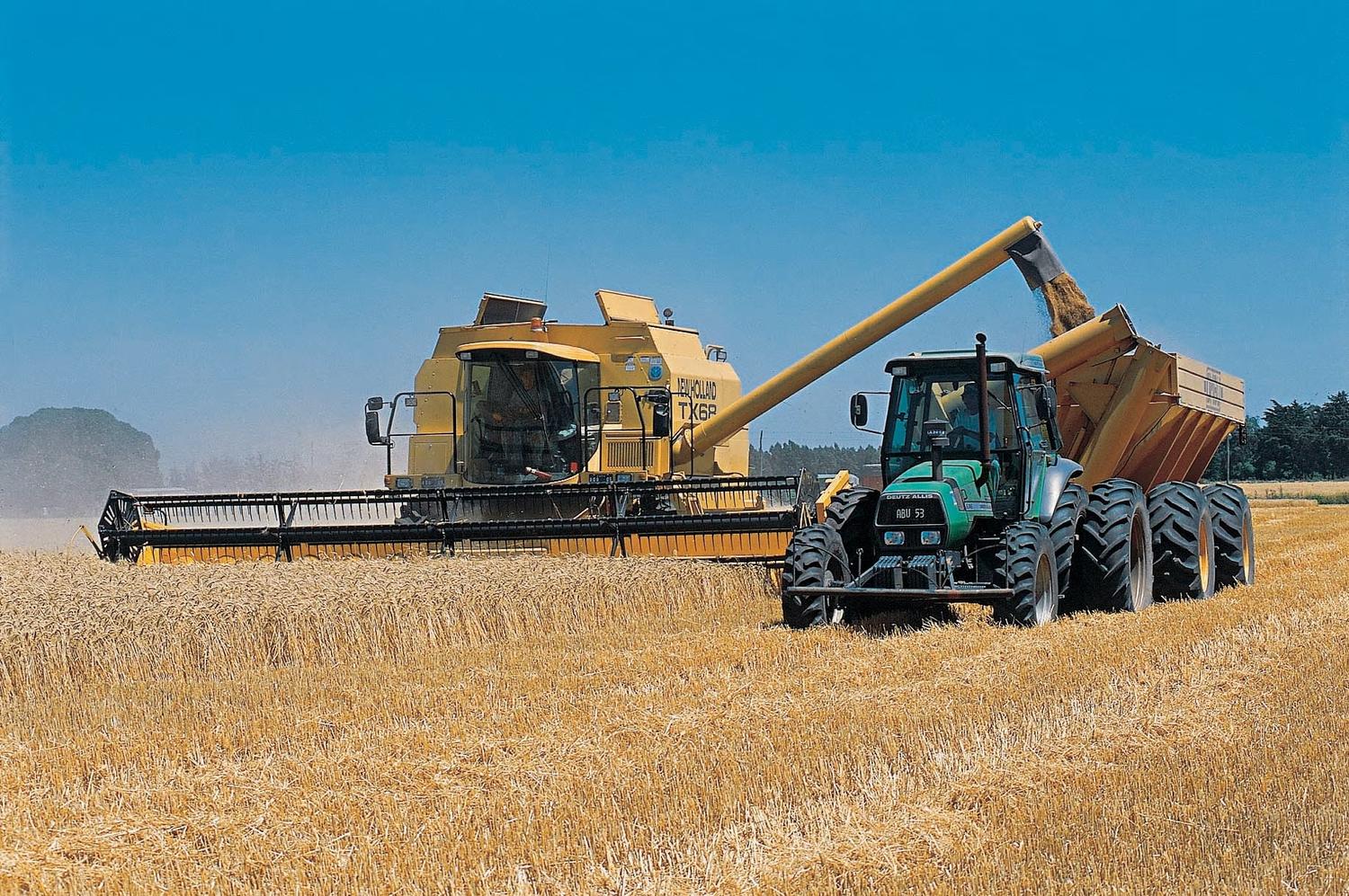 La actividad agroindustrial cayó levemente en febrero