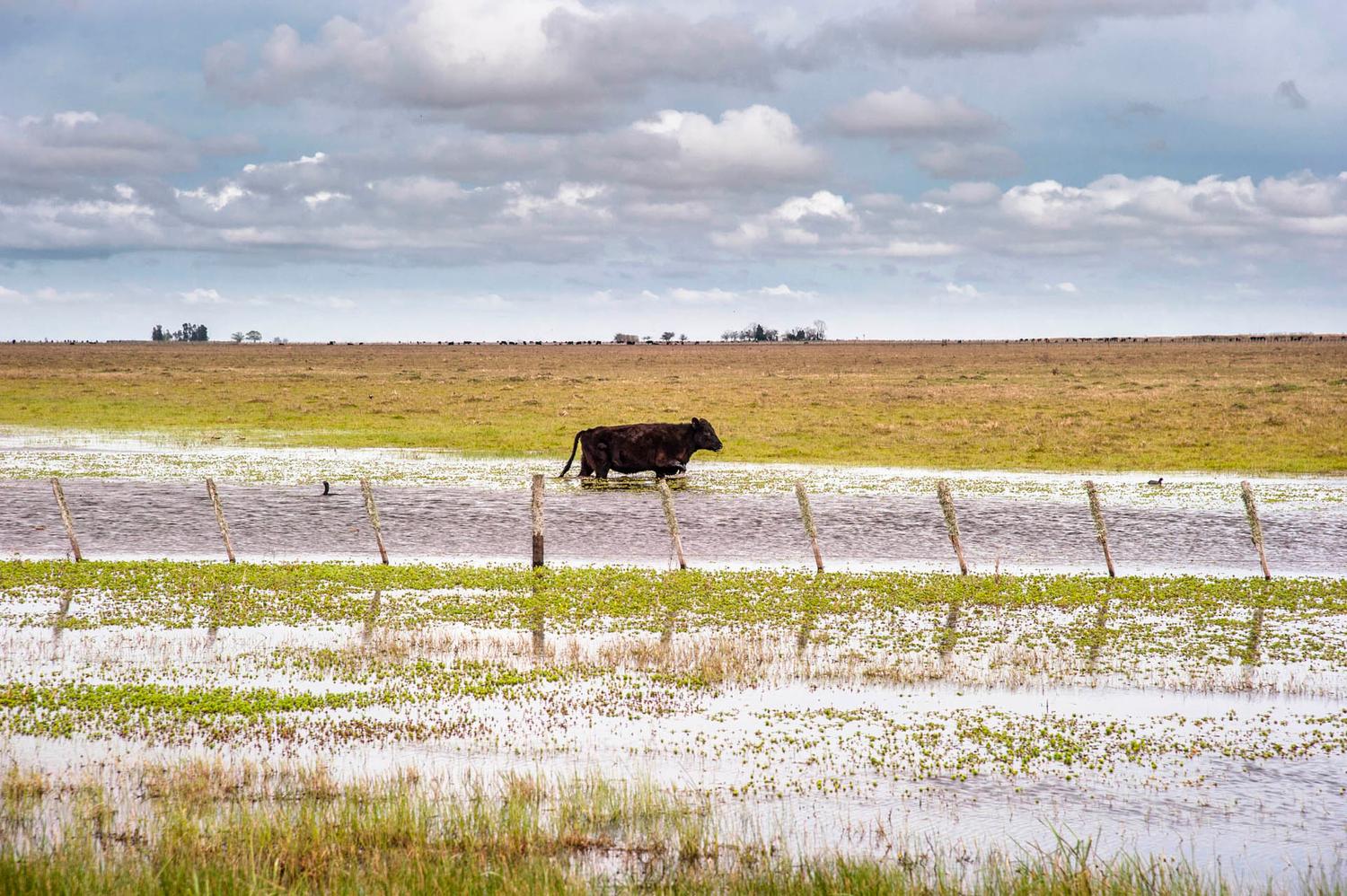 Inundaciones: ¿Cuáles son los 12 distritos que serán declarados en emergencia?