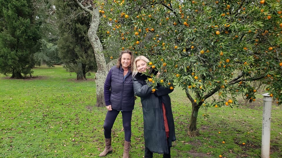 Una productora de Azul llamó a una marcha contra la suba del Inmobiliario: esperan presencia de varias rurales y de dirigentes políticos